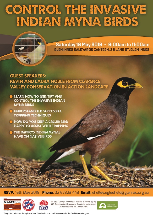 1555472985 glenrac indian myna workshop event notice 20190518 640p