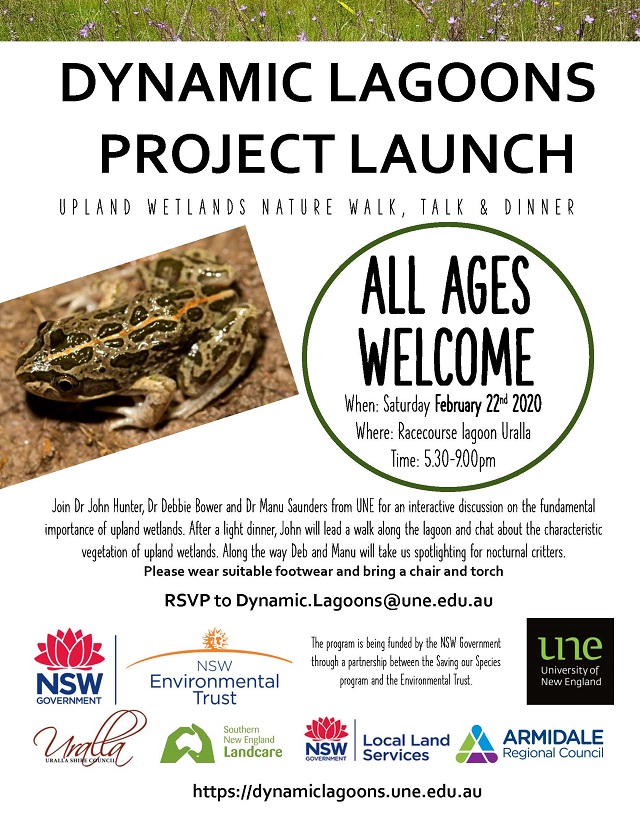 DYNAMIC LAGOONS PROJECT LAUNCH V5