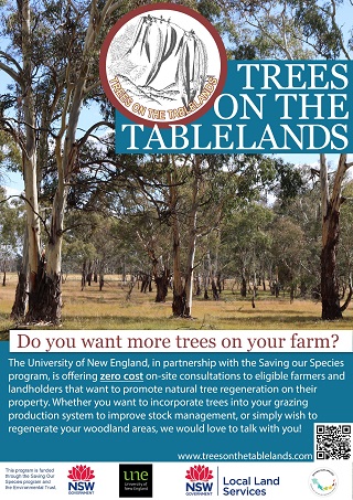 Trees flyer 320