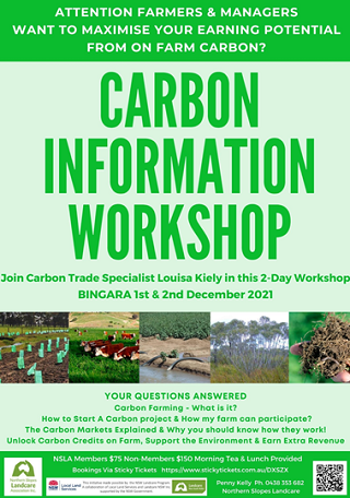 carbonwkshop320