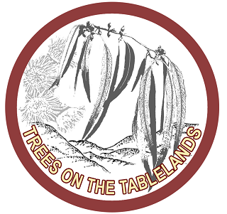 tott logo v1