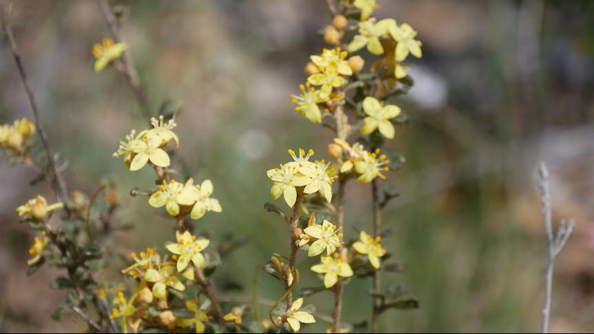 24acf369cda7b68d20e257ca2e4460f8