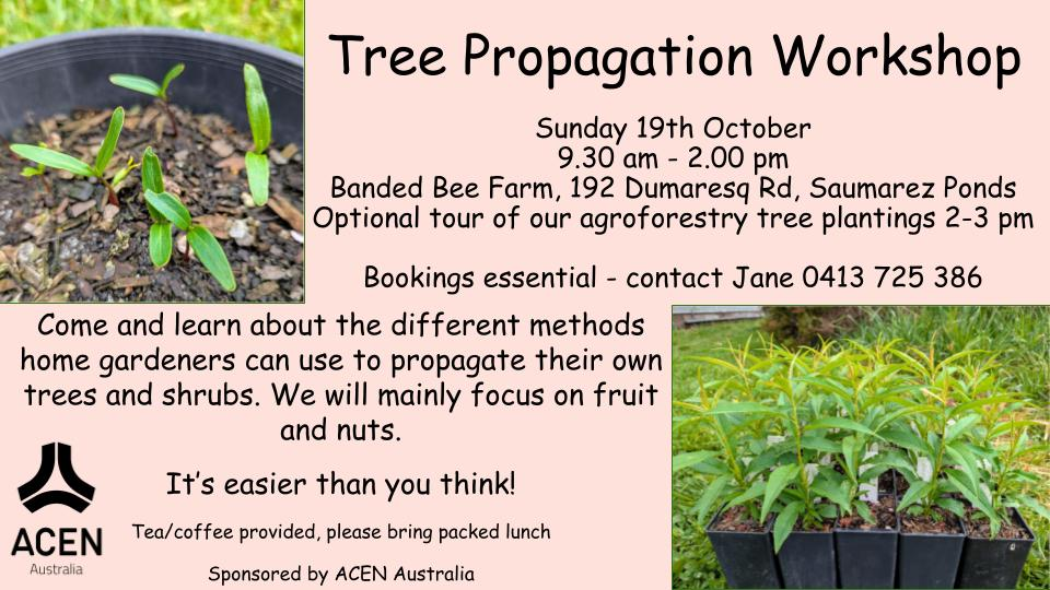 Tree Propagation