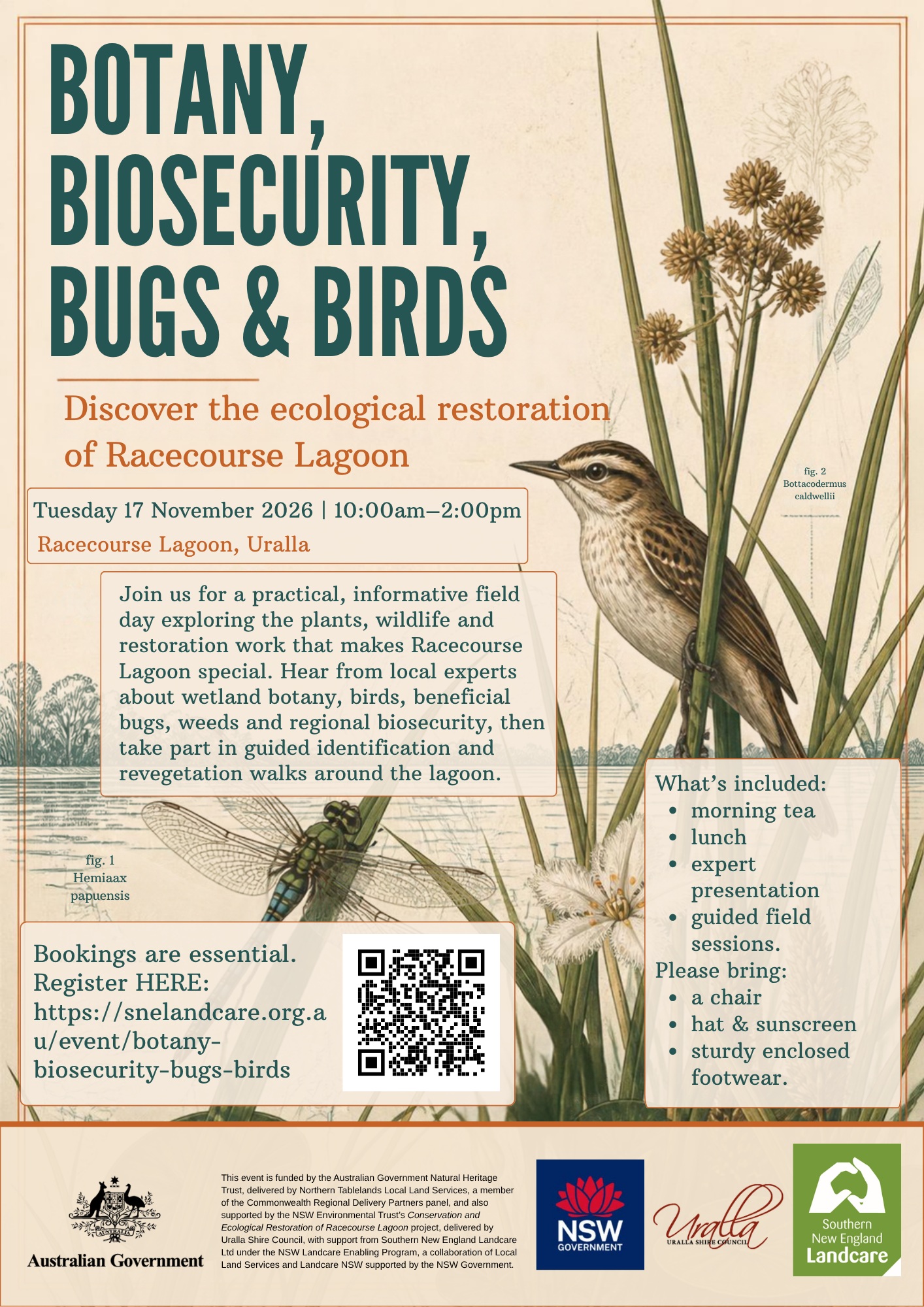 Botany Biosecurity Bugs Birds Flyer