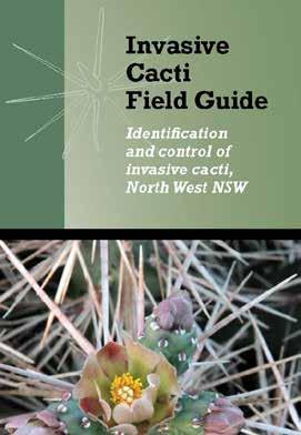 Invasive Cacti