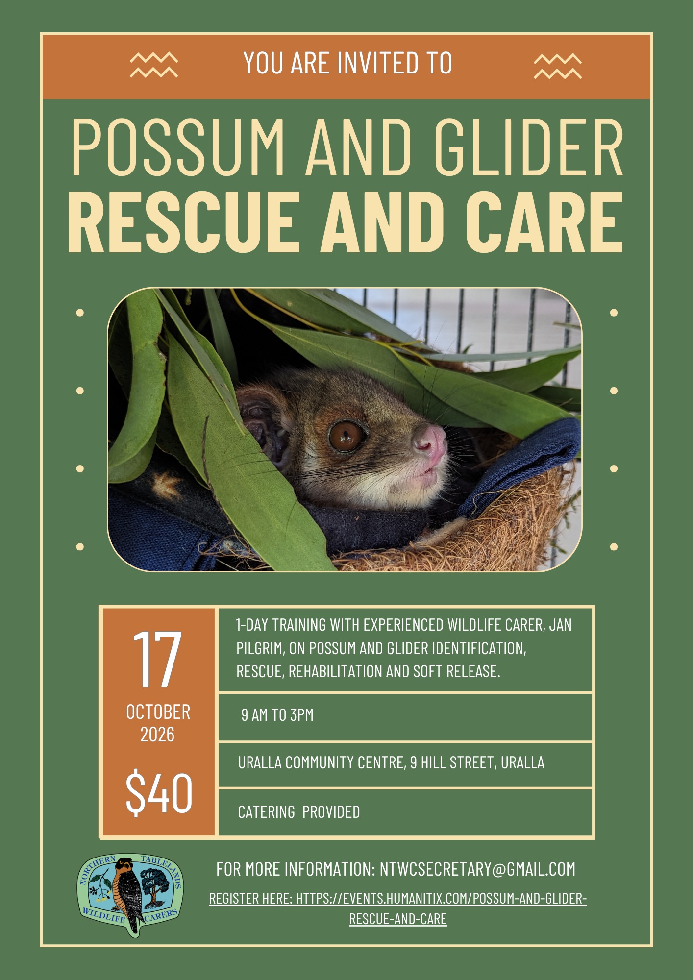 Possum Glider