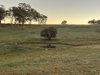 Beths Dam 320p