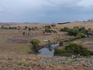 ETC Enmore TSR Planting 16 March 2019 320p