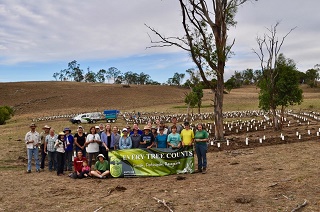 ETC Enmore TSR Planting Group 16 March 2019 320p