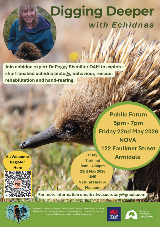 Echidna Flyer FINAL 640p