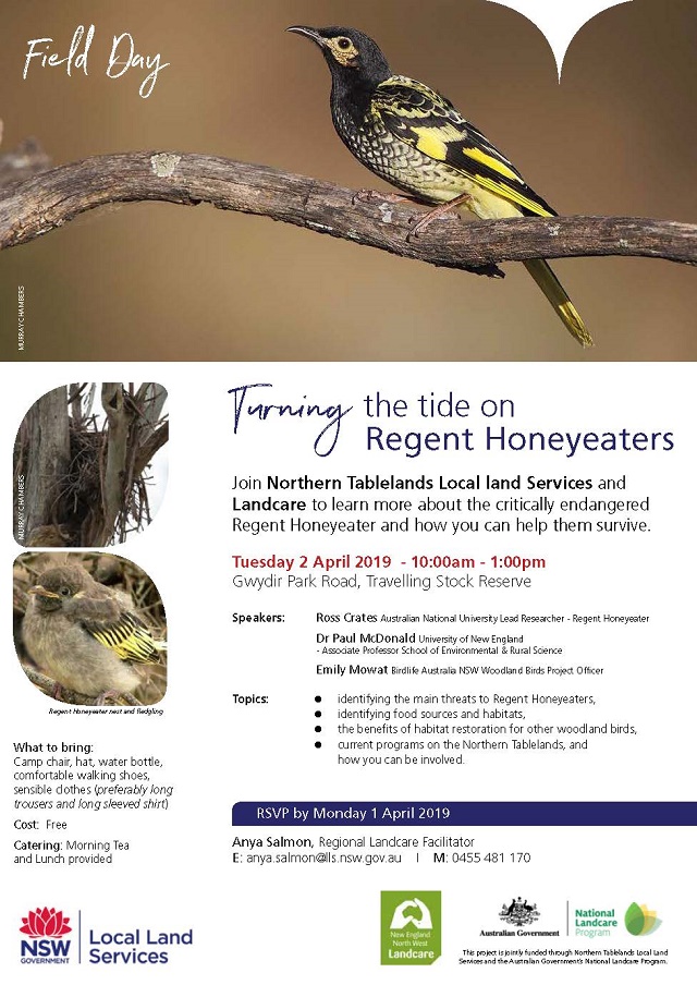 Gwydir TSR Regent Honeyeater Field Day jpg