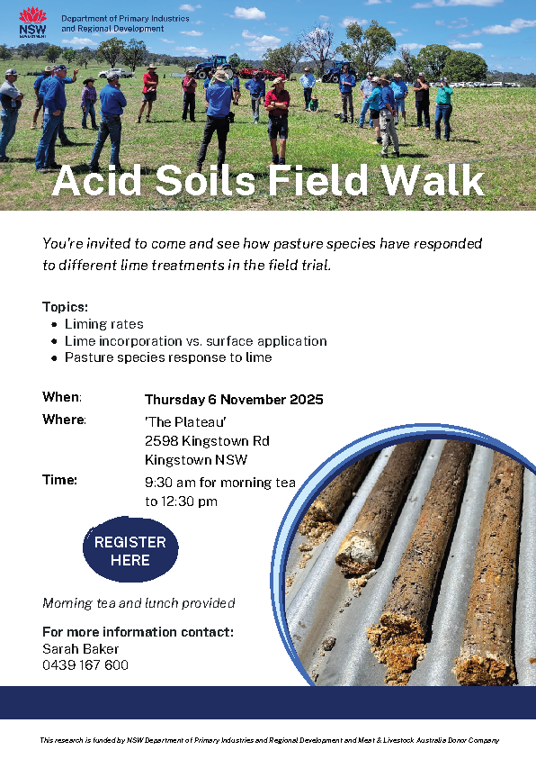 Kingstown Fieldwalk 6 Nov
