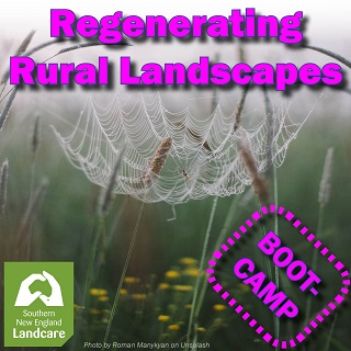 Regen Rural Landscapes Square