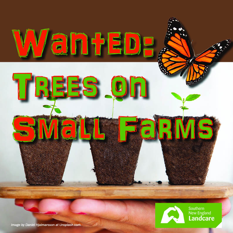 TreesSmallFarmsFB