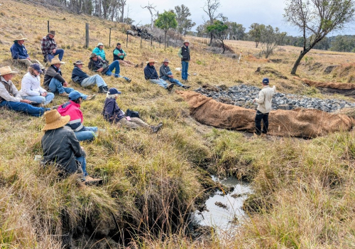 Keeping Our Groups Connected and Active