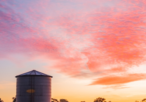 Graeme Sait to Deliver 4-day Nutrition Farming Workshop in Guyra