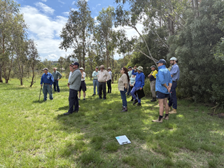  Armidale Leaders Celebrate Creekland Restoration Achievements