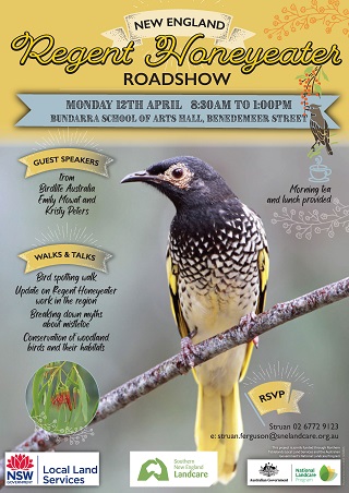 New England Regent Honeyeater Roadshow | Bundarra