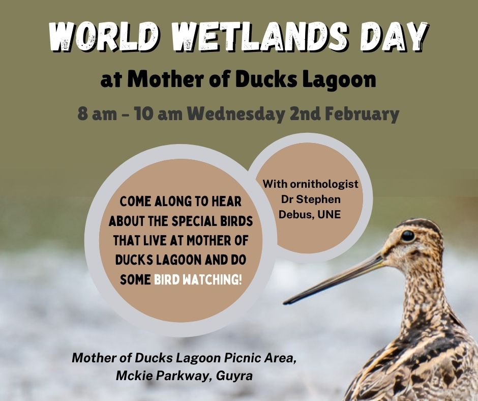 World Wetlands Day at Mother of Ducks Lagoon