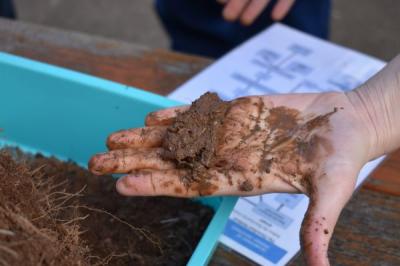 Walcha Reboot Your Grazing Landscapes with Soil Land Food Day 2