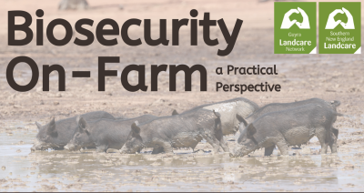 Biosecurity on-farm: a practical perspective