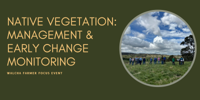 New Date - Native Vegetation: Management & Early Change Monitoring - Walcha Farmer Focus Event