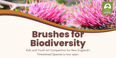 Brushes for Biodiversity