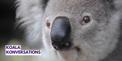 Koala Konversations