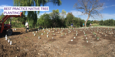 Best Practice Native Tree Planting Workshop